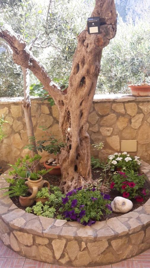 Modus B&B San Vito Lo Capo Exterior foto