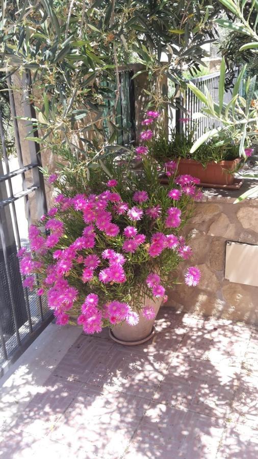 Modus B&B San Vito Lo Capo Exterior foto